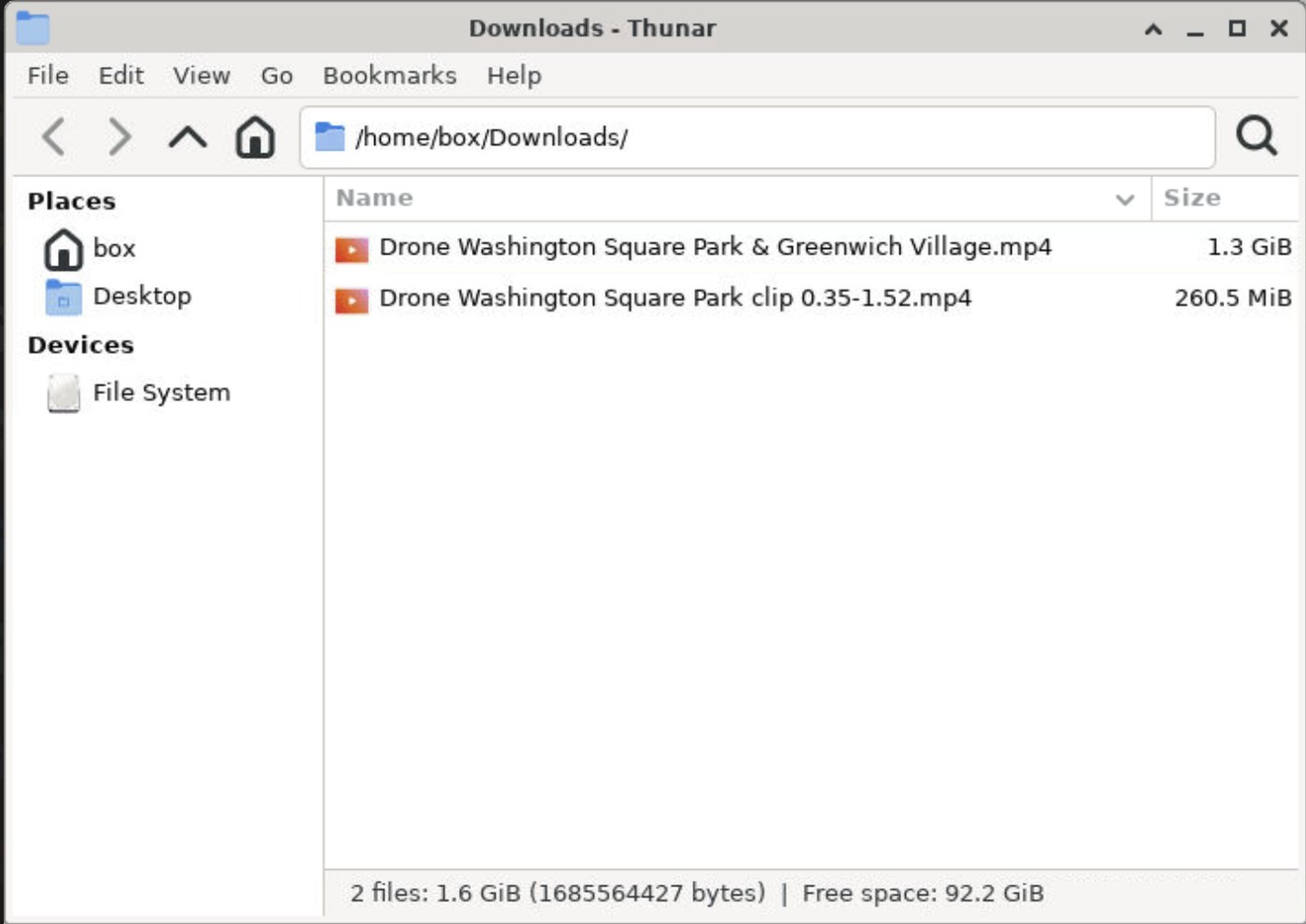Downloads on the Grok Bot computer: the 1.3 GiB Washington Square Park file and the 260.5 MiB clip